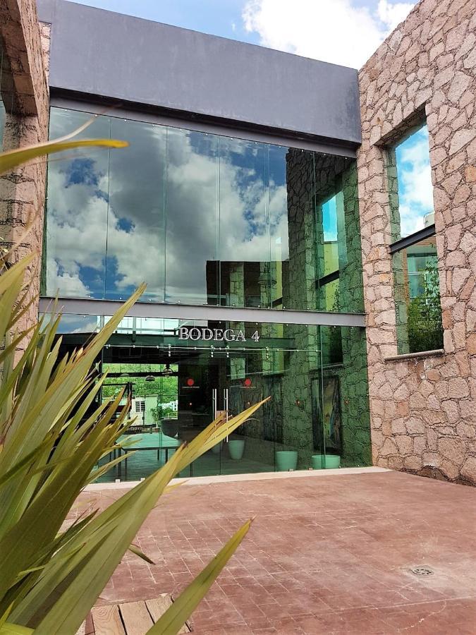 Hotel Camino De Piedra Guanajuato Exterior foto